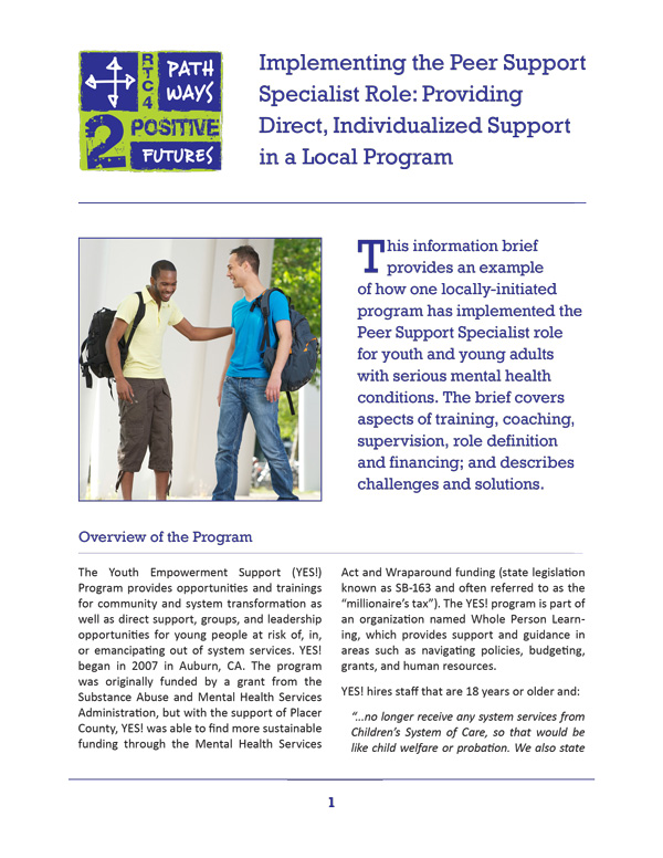 Implementing the Peer Support Specialist Role (YES)